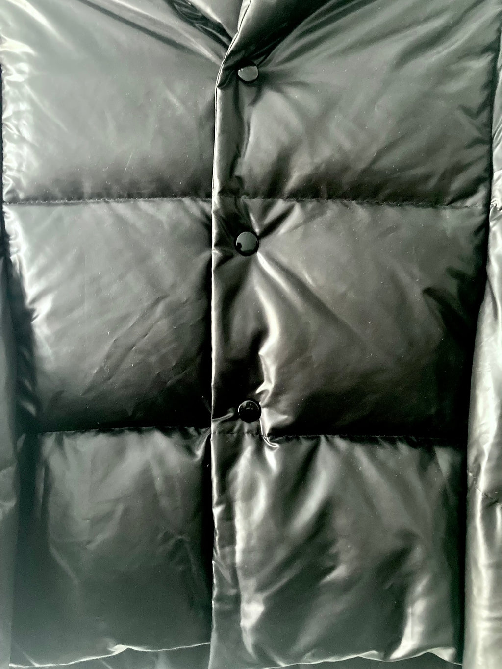 F/W 04 Junya Watanabe Comme des Garcons Runway Cropped Down Puffer Jacket in Black